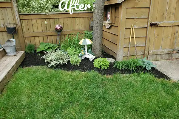 Reliable Beyond the Deck YEG's other services Beyond the Deck YEG's other services