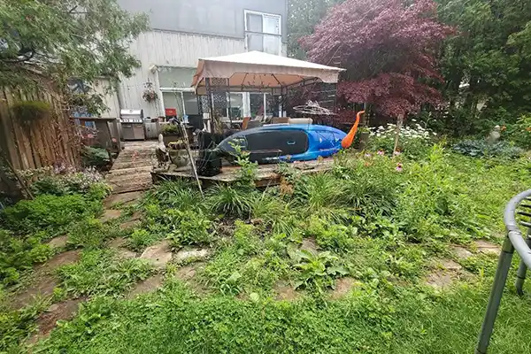 Reliable Weed Removal Service Weed Removal Service