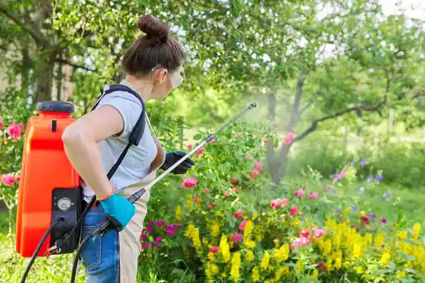 Reliable Weed Spraying Weed Spraying